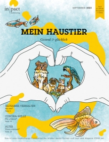 Meine Gesundheit –  Gesund & glücklich